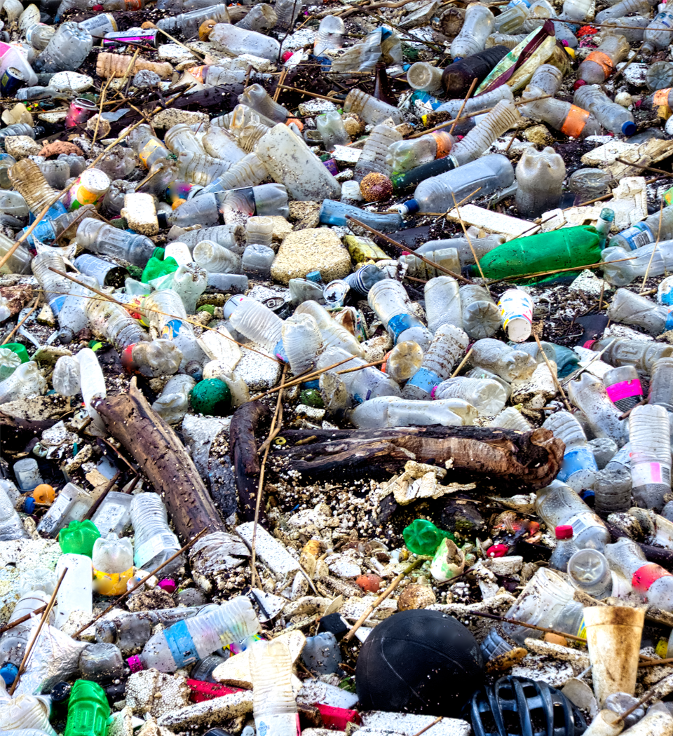 Press Release: Take the Plastic Pledge Launches to Save Our Oceans from Dire Environmental Problem